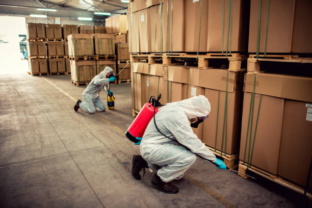 Best Wasp Removal Services  in Easton, MD