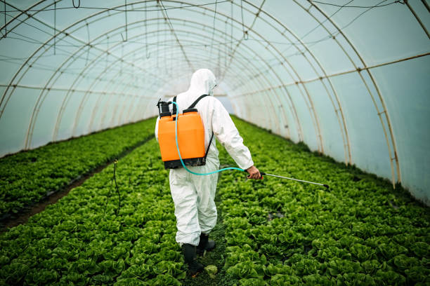 Best Pest Control for Homes  in Easton, MD