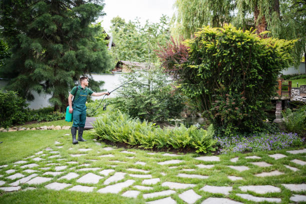 Best Local Pest Control Services  in Easton, MD