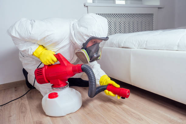 Best Pest Control Near Me in Easton, MD