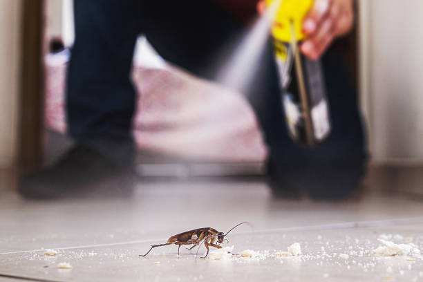 Best Residential Pest Control  in Easton, MD